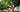 Triathlon Chronicles: Cyclists Thumbing it to Pain | wrists pain